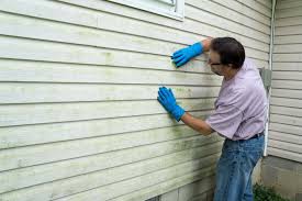 Best Vinyl Siding Installation  in South Daytona, FL